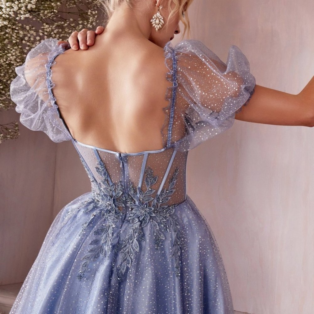 NEW MIDI FLORAL TULLE EMBROIDERED DRESS WITH PUFF SLEEVES AND ZIPPER BACK CD0187 - Picture 7 of 11